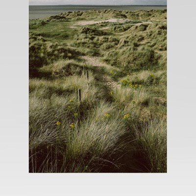 Nachhaltigkeits-<br>bericht 2024